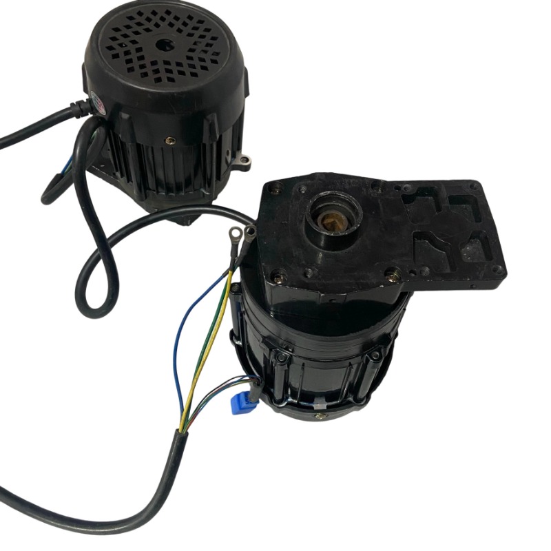 48V 1000/1200/1500W 고속 브러시리스 선 - Fishing Boat Trolling Motor 리뷰 및 가격