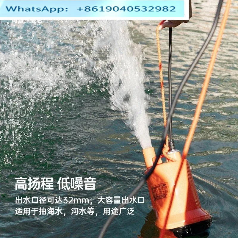 해양 빌지 펌프 12V24V DC 잠수형/ 어선 배수용 - Fishing Boat Bilge Pump 리뷰 및 가격